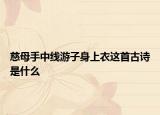 慈母手中线游子身上衣这首古诗是什么