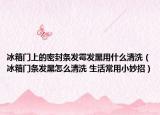 冰箱门上的密封条发霉发黑用什么清洗（冰箱门条发黑怎么清洗 生活常用小妙招）