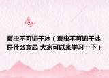 夏虫不可语于冰（夏虫不可语于冰是什么意思 大家可以来学习一下）