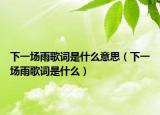 下一场雨歌词是什么意思（下一场雨歌词是什么）