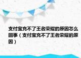支付宝充不了王者荣耀的原因怎么回事（支付宝充不了王者荣耀的原因）