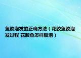 鱼胶泡发的正确方法（花胶鱼胶泡发过程 花胶鱼怎样胶泡）