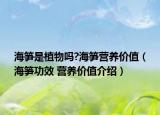 海笋是植物吗?海笋营养价值（海笋功效 营养价值介绍）