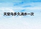 天堂鸟多久浇水一次