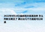 2022年9月16日最新相关报道消息 怎么判断玉戴活了 通过这几个方面就可以知道