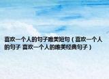 喜欢一个人的句子唯美短句（喜欢一个人的句子 喜欢一个人的唯美经典句子）
