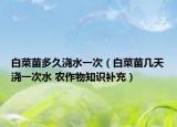 白菜苗多久浇水一次（白菜苗几天浇一次水 农作物知识补充）