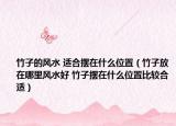 竹子的风水 适合摆在什么位置（竹子放在哪里风水好 竹子摆在什么位置比较合适）