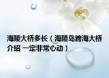 海陵大桥多长（海陵岛跨海大桥介绍 一定非常心动）