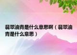 翡翠油青是什么意思啊（翡翠油青是什么意思）