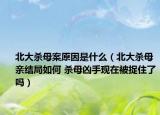 北大杀母案原因是什么（北大杀母亲结局如何 杀母凶手现在被捉住了吗）