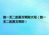 独一无二的英文昵称大写（独一无二的英文昵称）