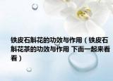 铁皮石斛花的功效与作用（铁皮石斛花茶的功效与作用 下面一起来看看）