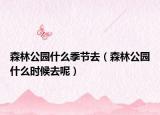 森林公园什么季节去（森林公园什么时候去呢）