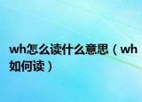 wh怎么读什么意思（wh如何读）