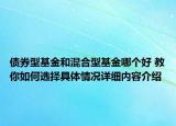 债券型基金和混合型基金哪个好 教你如何选择具体情况详细内容介绍