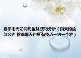 夏季雨天如何钓鱼及技巧分析（雨天钓鱼怎么钓 秋季雨天钓鱼有技巧一钓一个准）