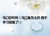 马口好钓吗（马口鱼怎么钓 再不学习就晚了!）