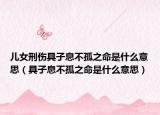 儿女刑伤具子息不孤之命是什么意思（具子息不孤之命是什么意思）