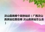 灵山县离哪个高铁站近（广西灵山高铁站位置在哪 灵山高铁站怎么去）