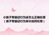 小孩子有偷窃行为该怎么正确处理（孩子有偷窃行为家长如何处理）