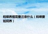 蚂蟥养殖需要注意什么（蚂蝗要如何养）