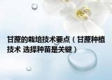 甘蔗的栽培技术要点（甘蔗种植技术 选择种苗是关键）