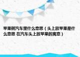 苹果树汽车里什么意思（头上放苹果是什么意思 在汽车头上放苹果的寓意）