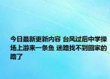今日最新更新内容 台风过后中学操场上游来一条鱼 迷路找不到回家的路了