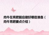 肉牛在育肥前应做好哪些准备（肉牛育肥要点介绍）