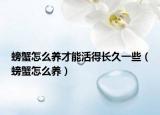 螃蟹怎么养才能活得长久一些（螃蟹怎么养）