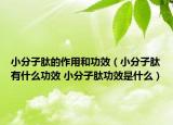 小分子肽的作用和功效（小分子肽有什么功效 小分子肽功效是什么）