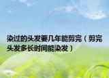 染过的头发要几年能剪完（剪完头发多长时间能染发）