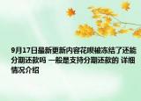 9月17日最新更新内容花呗被冻结了还能分期还款吗 一般是支持分期还款的 详细情况介绍