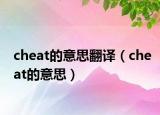 cheat的意思翻译（cheat的意思）
