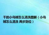 干的小乌贼怎么清洗图解（小乌贼怎么清洗 两步到位）