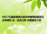 9月17日最新更新内容冰种翡翠的鉴别方法有哪些 试一试这几种 详细情况介绍