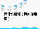贸什么组词（贸如何组词）