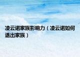 凌云诺家族影响力（凌云诺如何退出家族）