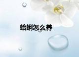 蛤蜊怎么养