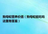 狗母蛇营养价值（狗母蛇能吃吗 这里有答案）