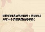 杨柳的画法简笔画图片（柳杨画法 分享六个步骤快速画好柳杨）