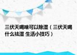 三伏天喝啥可以除湿（三伏天喝什么祛湿 生活小技巧）