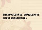 养胃顺气丸的功效（顺气丸的功效与作用 健脾和胃功效）