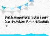 钓鲶鱼用熟鸡肝还是生鸡肝（鸡肝怎么挂钩钓鲶鱼 八个小技巧教给你）