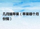 几月摘苹果（苹果哪个月份摘）