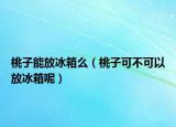 桃子能放冰箱么（桃子可不可以放冰箱呢）