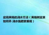 盆栽黄杨的浇水方法（黄杨树盆景如何养 浇水施肥要重视）