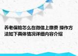 养老保险怎么在微信上缴费 操作方法如下具体情况详细内容介绍