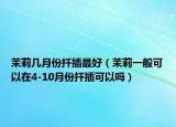 茉莉几月份扦插最好（茉莉一般可以在4-10月份扦插可以吗）